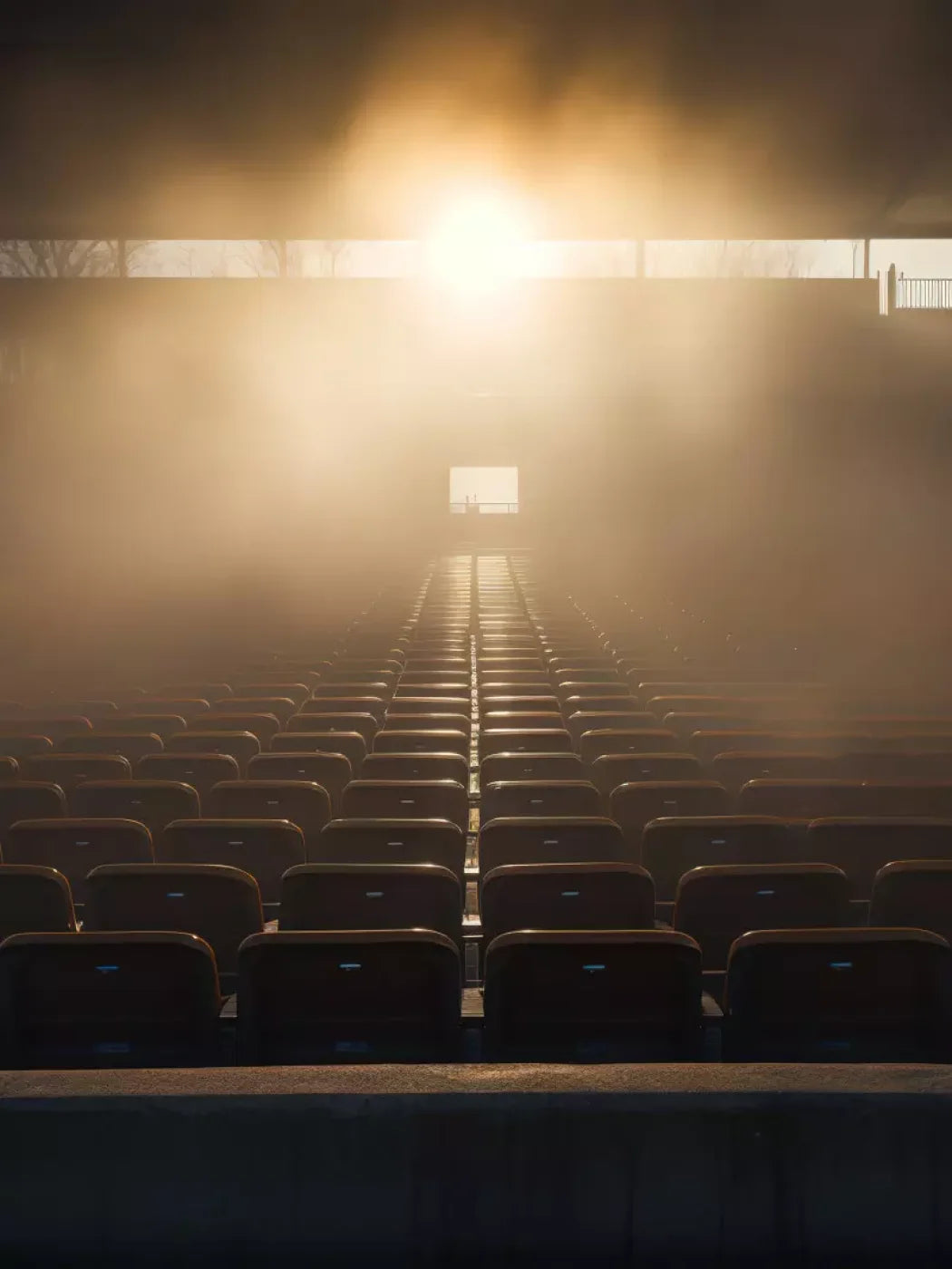 Sports Stadium Seats Ii 5’X6’8 Fleece (60 X 80 Inch) Backdrop