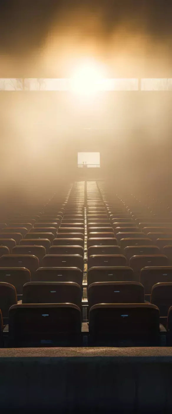 Sports Stadium Seats Ii 5’X12’ Ultracloth For Westcott X-Drop (60 X 144 Inch) Backdrop