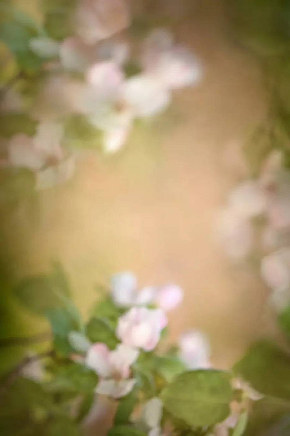 Spring Blossoms Backdrop