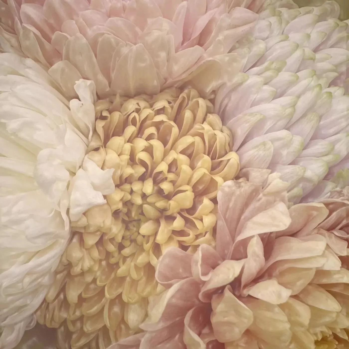 Spring Bouquet 10X10 Ultracloth ( 120 X Inch ) Backdrop