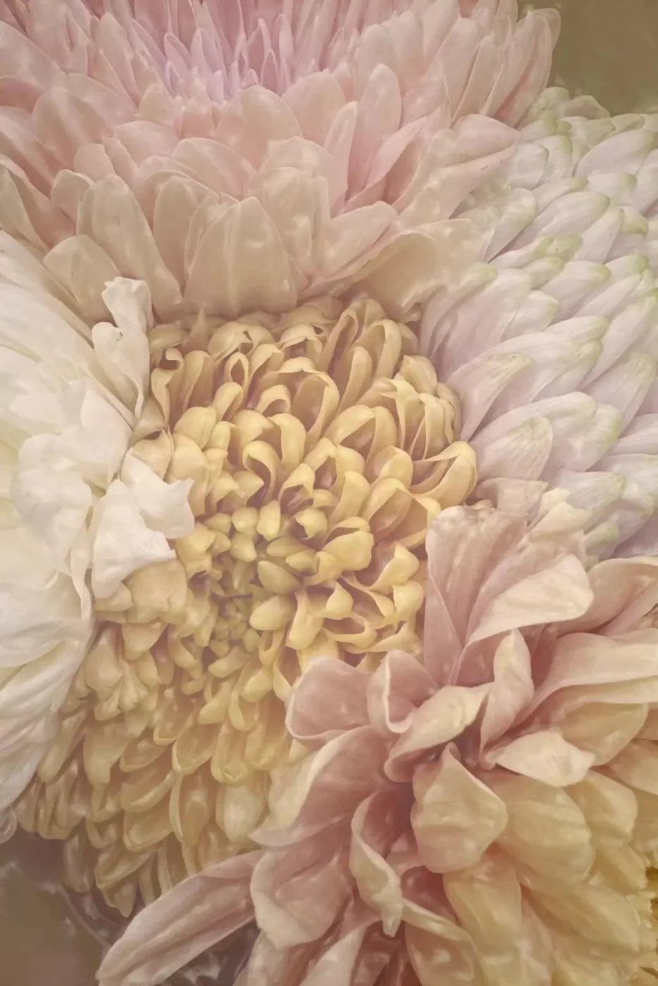 Spring Bouquet 5X8 Ultracloth ( 60 X 96 Inch ) Backdrop