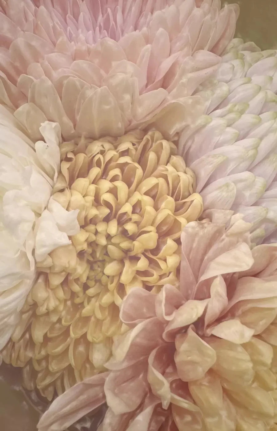 Spring Bouquet 8X12 Ultracloth ( 96 X 144 Inch ) Backdrop