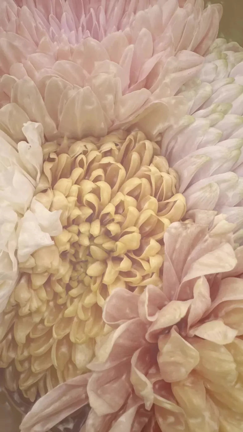 Spring Bouquet 8X14 Ultracloth ( 96 X 168 Inch ) Backdrop