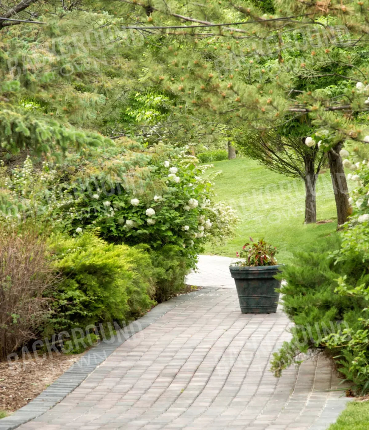 Spring Path 10’X12’ Ultracloth (120 X 144 Inch) Backdrop