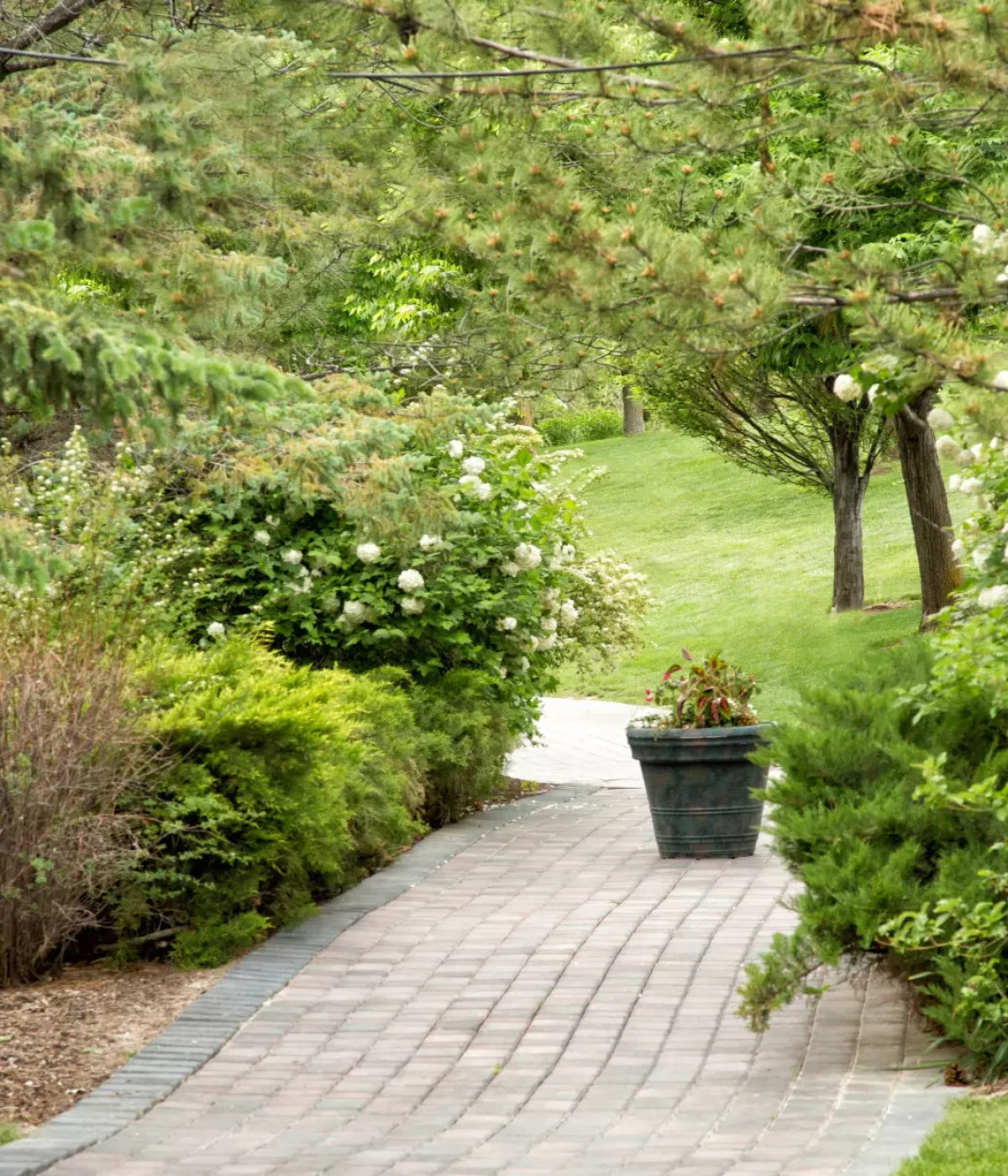 Spring Path 10’X12’ Ultracloth (120 X 144 Inch) Backdrop