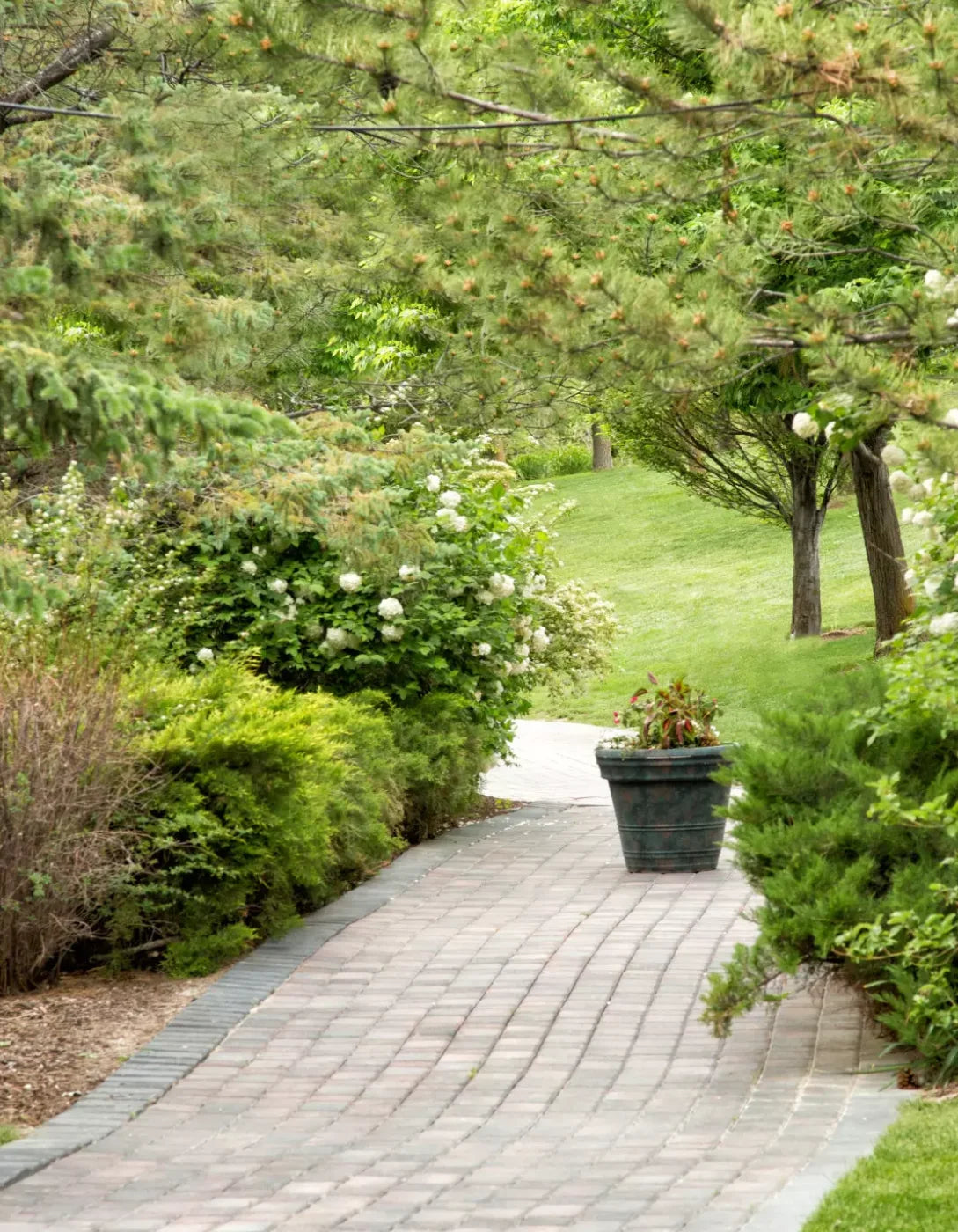 Spring Path 6’X8’ Fleece (72 X 96 Inch) Backdrop