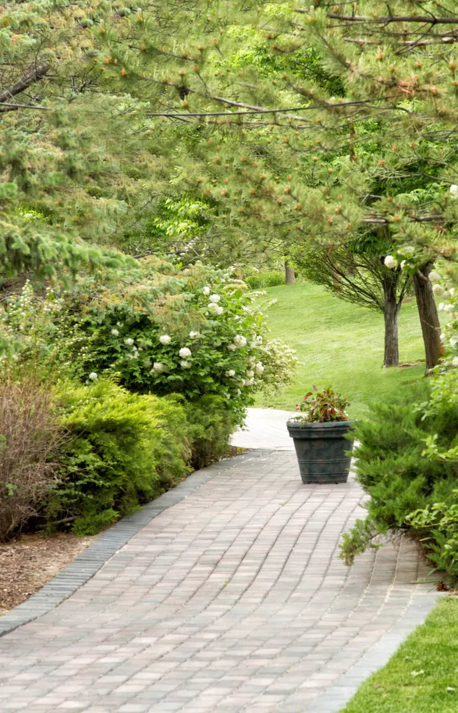 Spring Path 8’X12’ Ultracloth (96 X 144 Inch) Backdrop