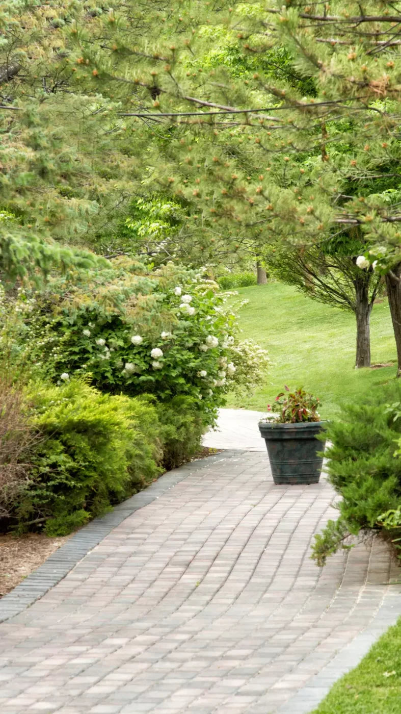 Spring Path 8’X14’ Ultracloth (96 X 168 Inch) Backdrop