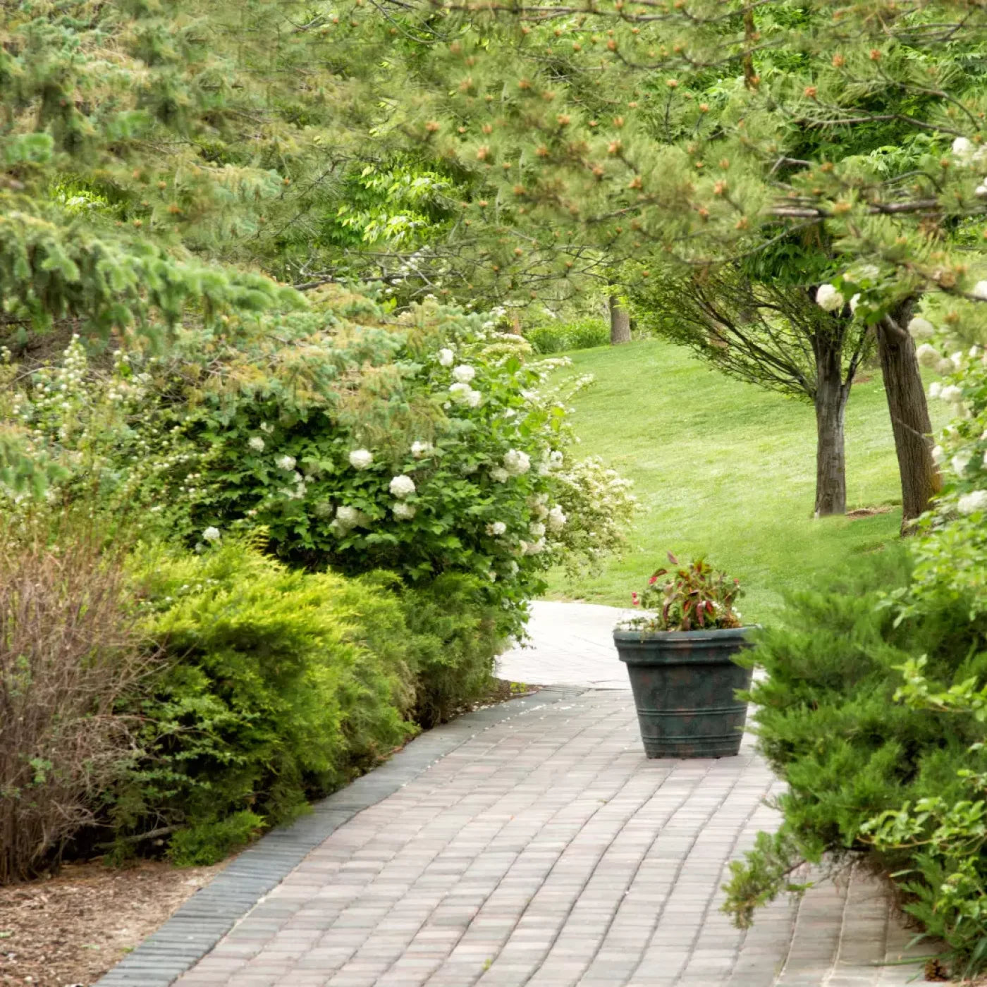 Spring Path 8’X8’ Fleece (96 X Inch) Backdrop