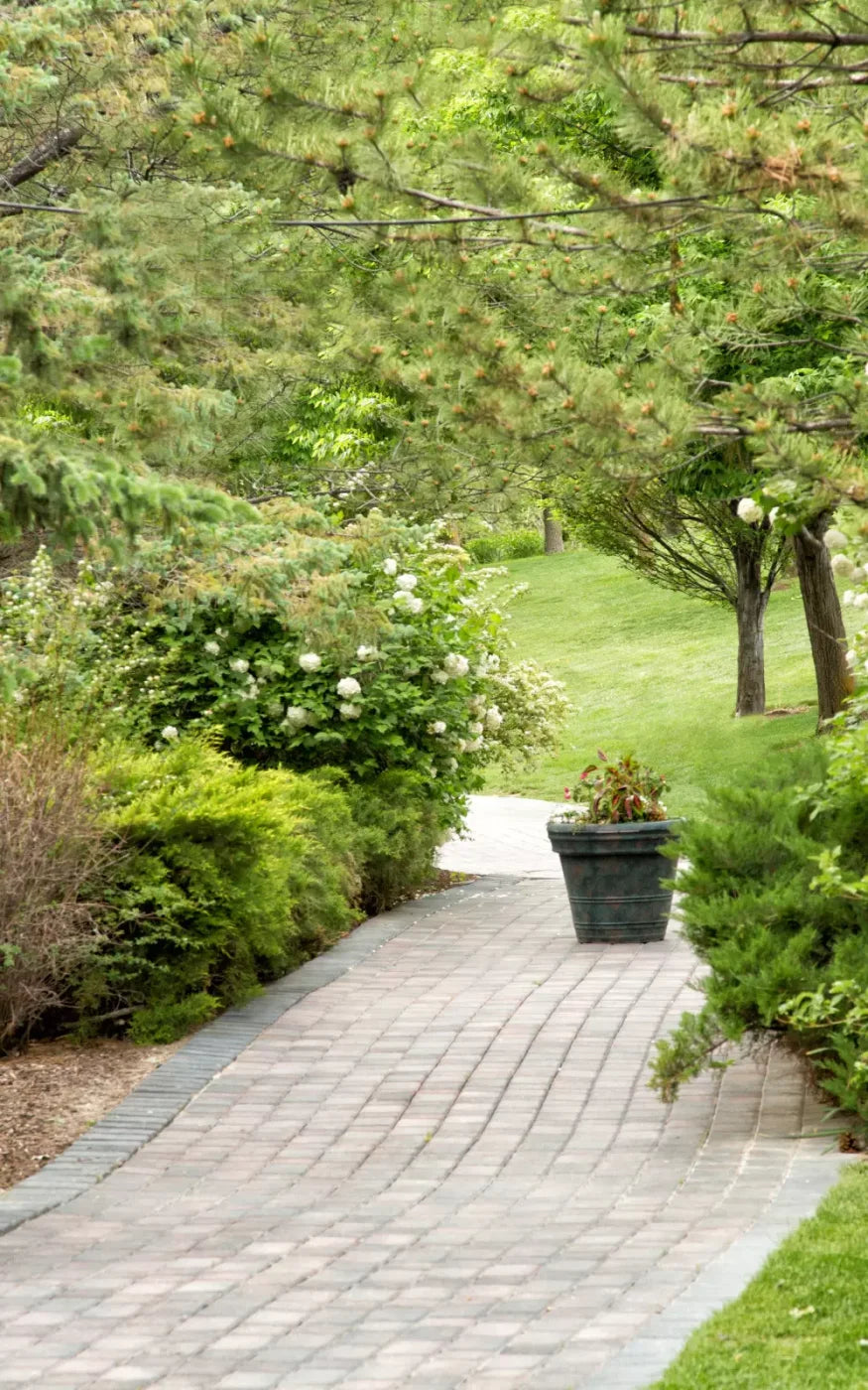 Spring Path 9’X14’ Ultracloth (108 X 168 Inch) Backdrop