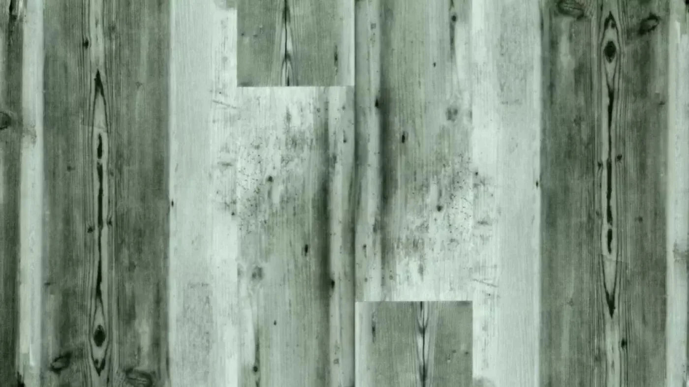 Spruce 14X8 Ultracloth ( 168 X 96 Inch ) Backdrop