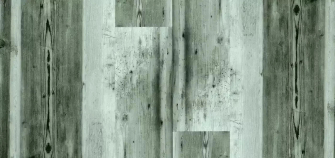 Spruce 16X8 Ultracloth ( 192 X 96 Inch ) Backdrop
