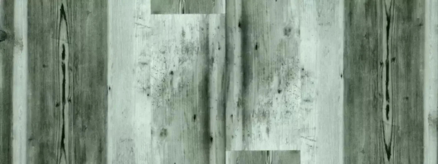 Spruce 20X8 Ultracloth ( 240 X 96 Inch ) Backdrop