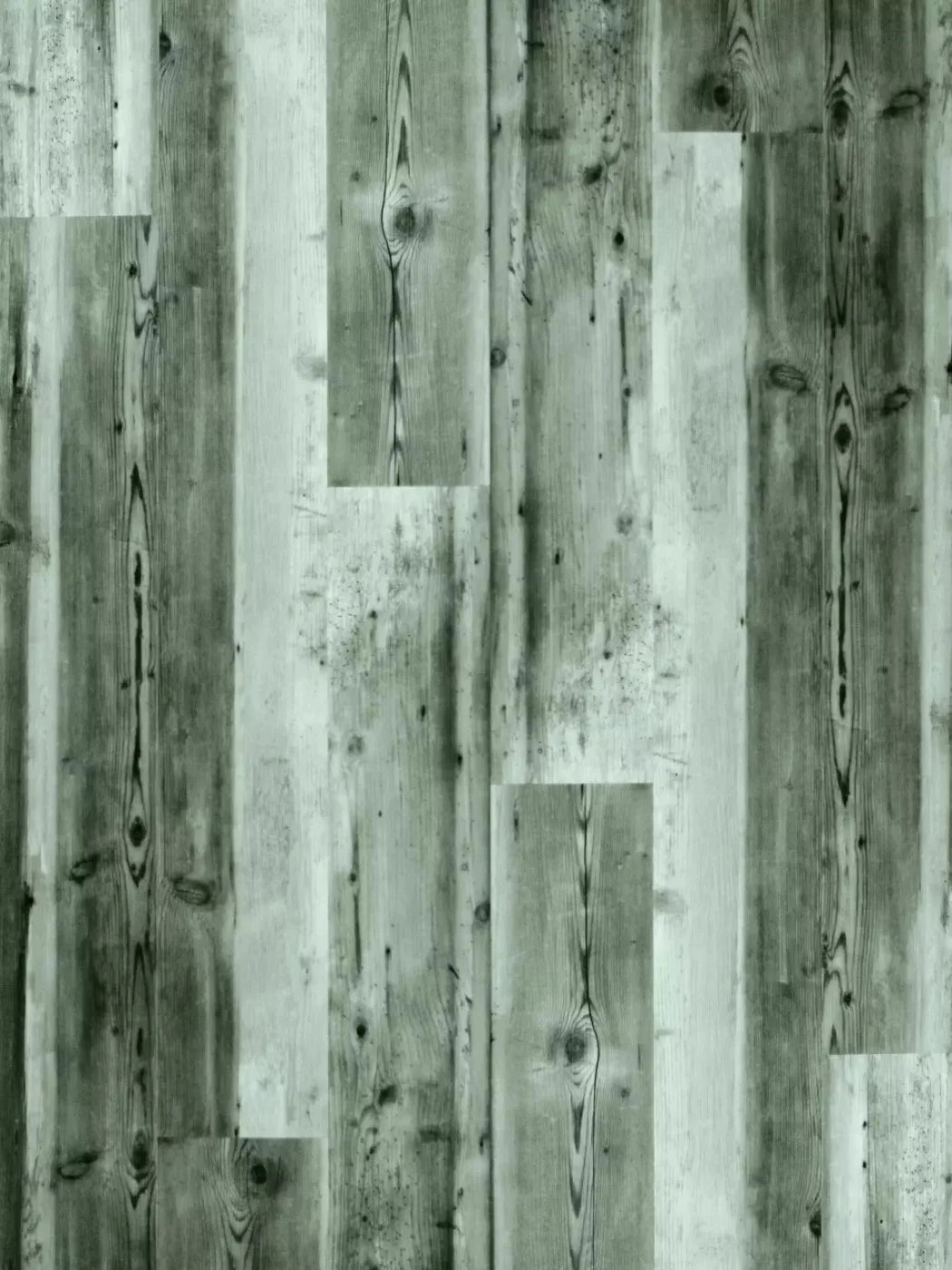 Spruce 5X7 Ultracloth ( 60 X 84 Inch ) Backdrop