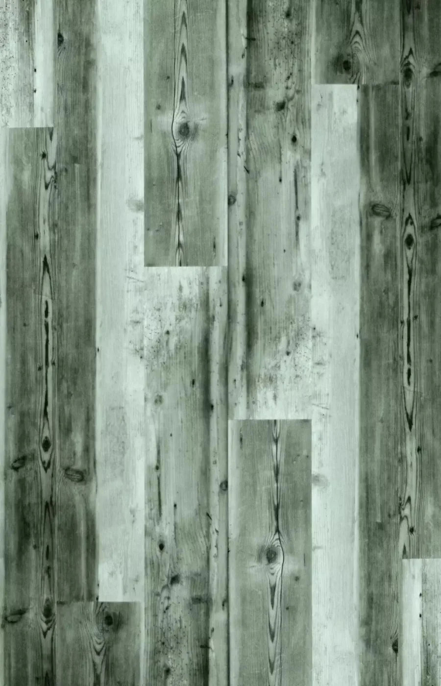 Spruce 8X12 Ultracloth ( 96 X 144 Inch ) Backdrop