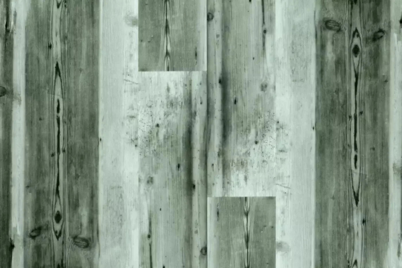 Spruce Backdrop