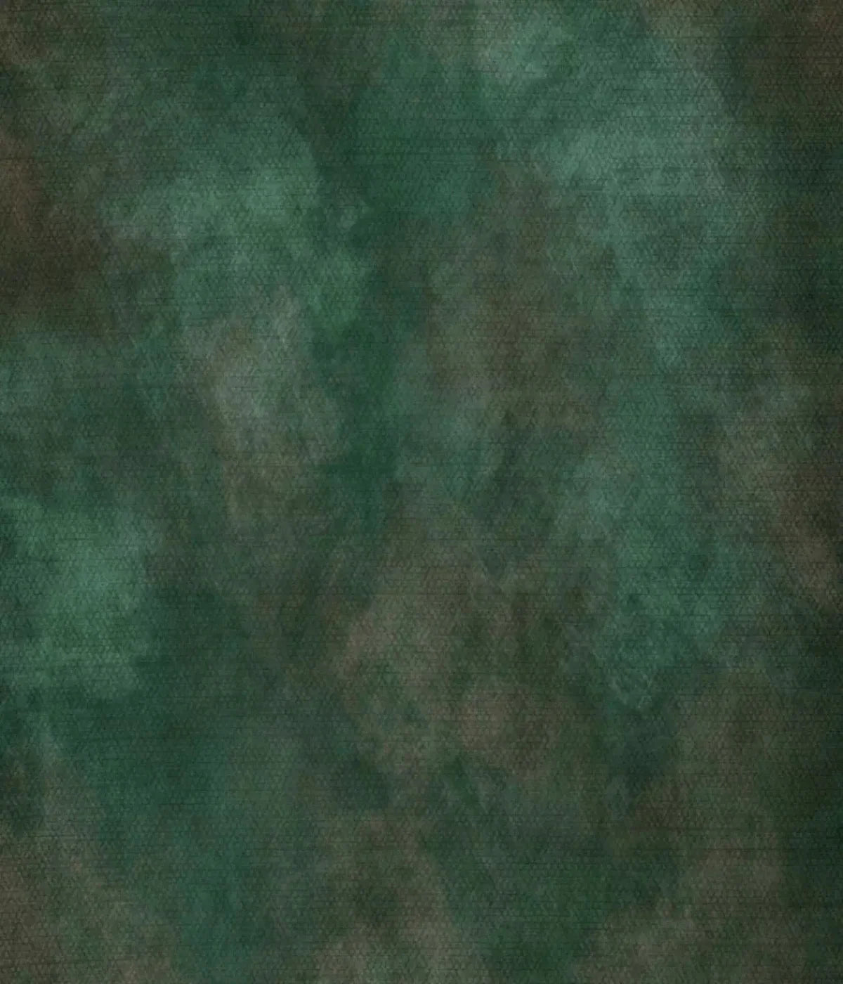 Spruced Up 10X12 Ultracloth ( 120 X 144 Inch ) Backdrop