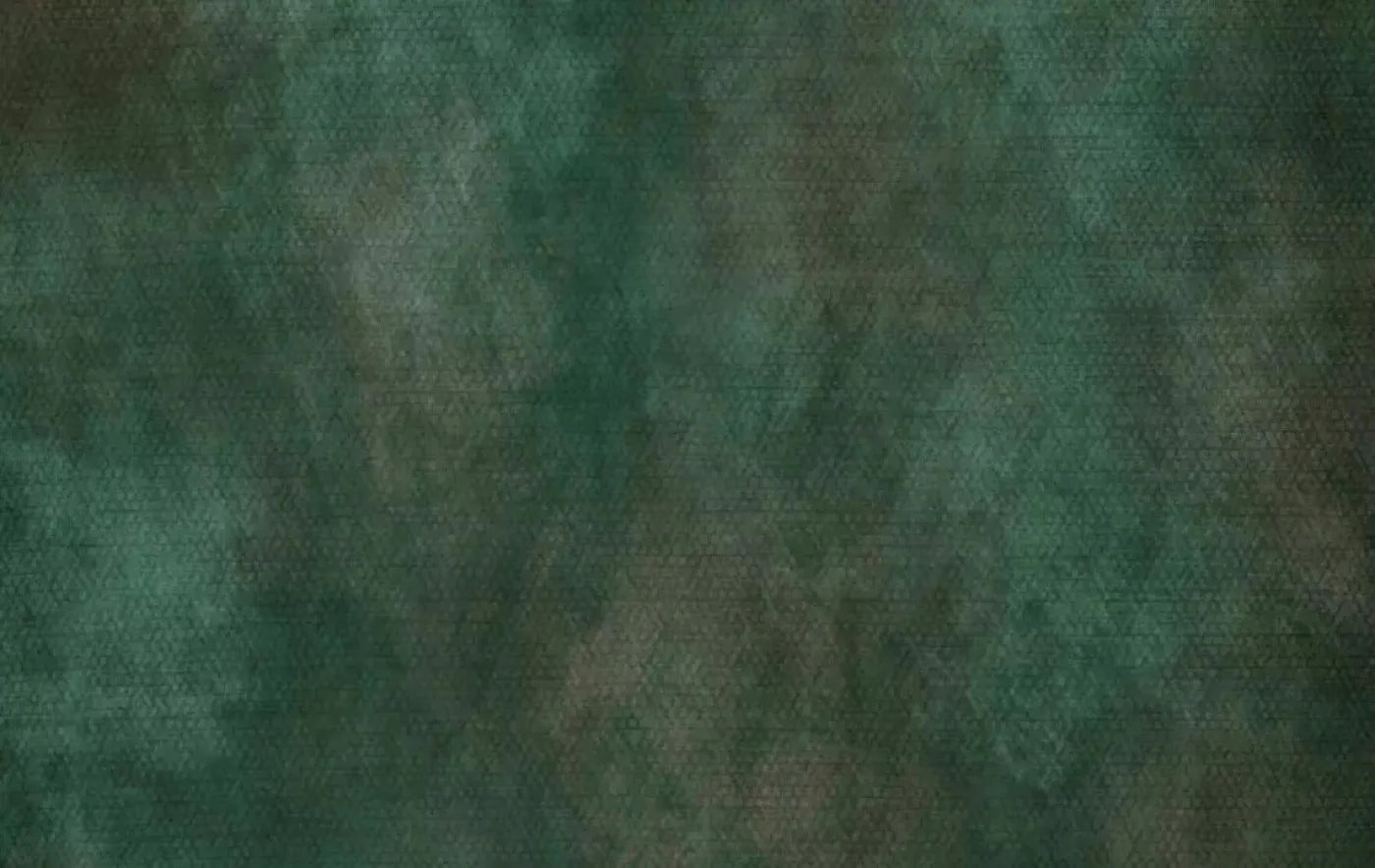 Spruced Up 16X10 Ultracloth ( 192 X 120 Inch ) Backdrop