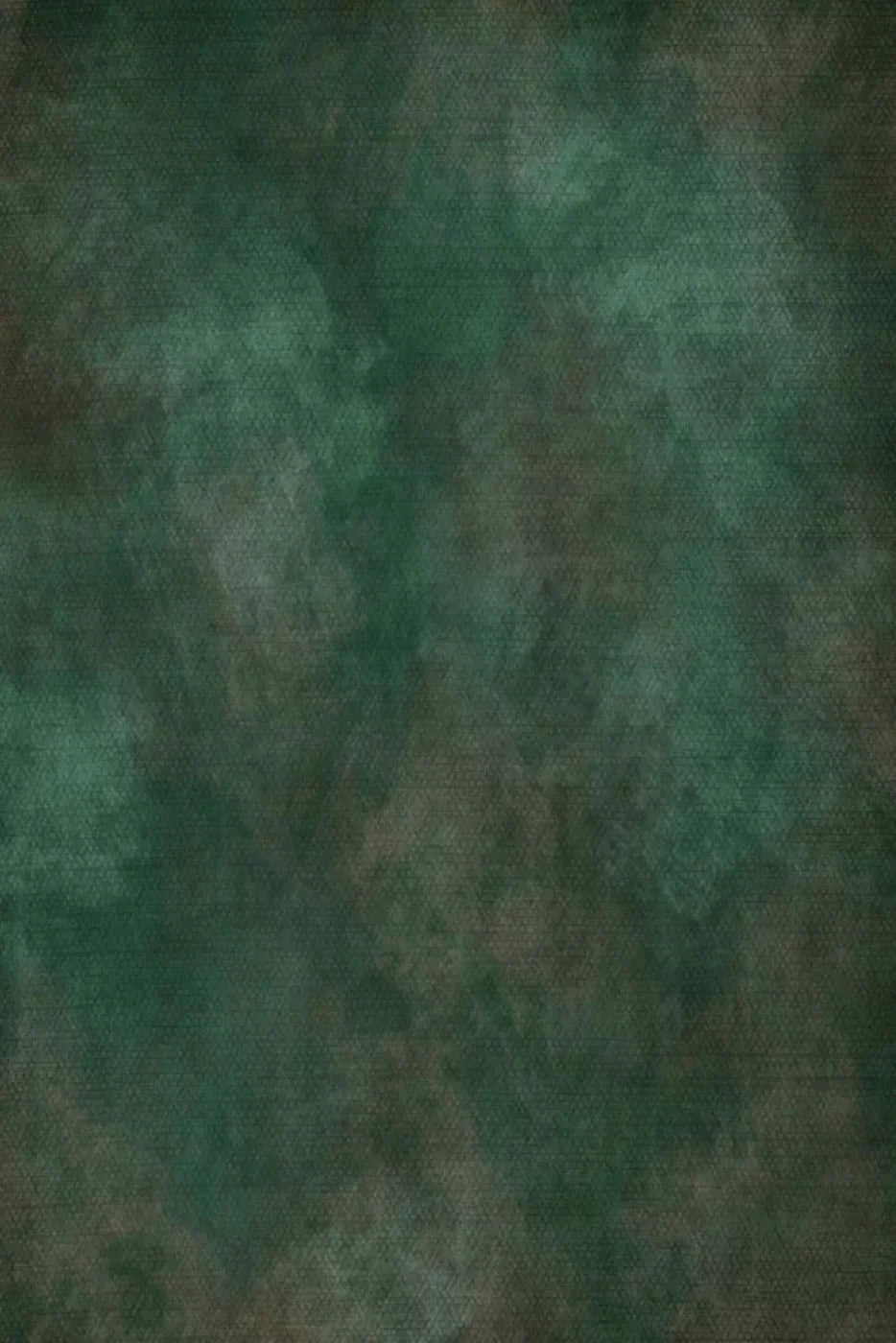 Spruced Up 5X8 Ultracloth ( 60 X 96 Inch ) Backdrop