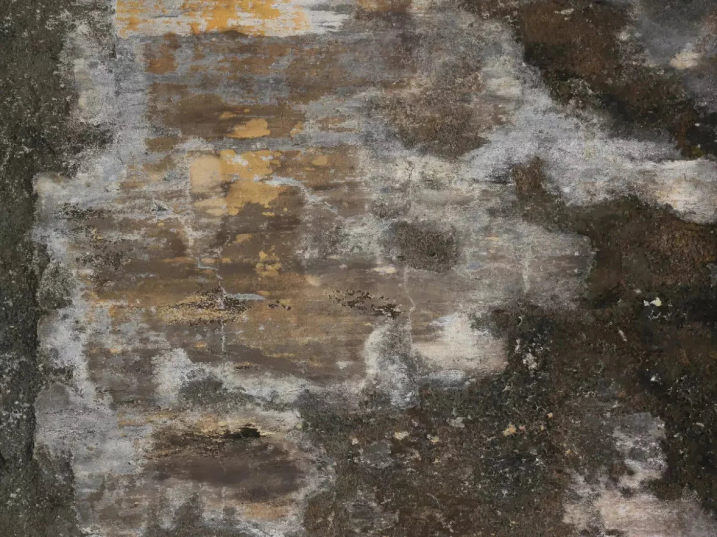 Squalid 68X5 Fleece ( 80 X 60 Inch ) Backdrop