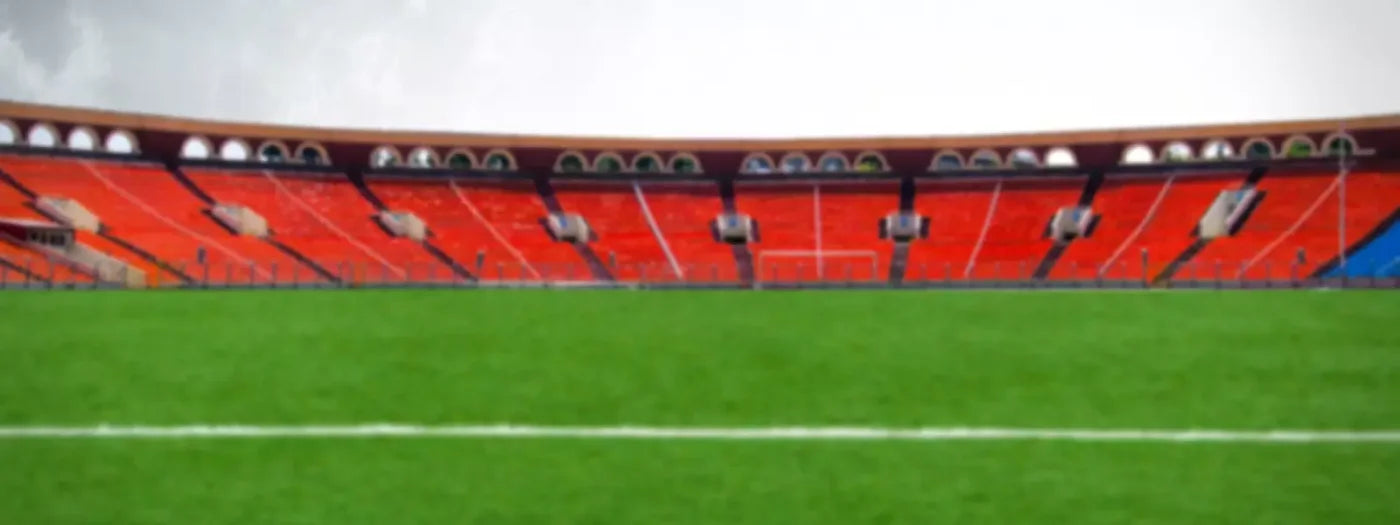 Stadium 20X8 Ultracloth ( 240 X 96 Inch ) Backdrop