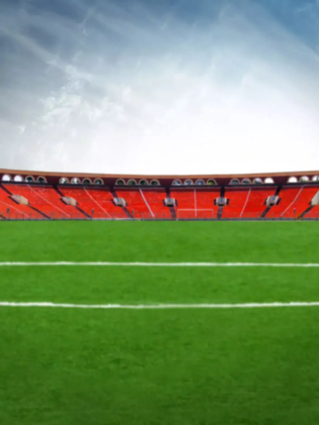 Stadium 8X10 Fleece ( 96 X 120 Inch ) Backdrop
