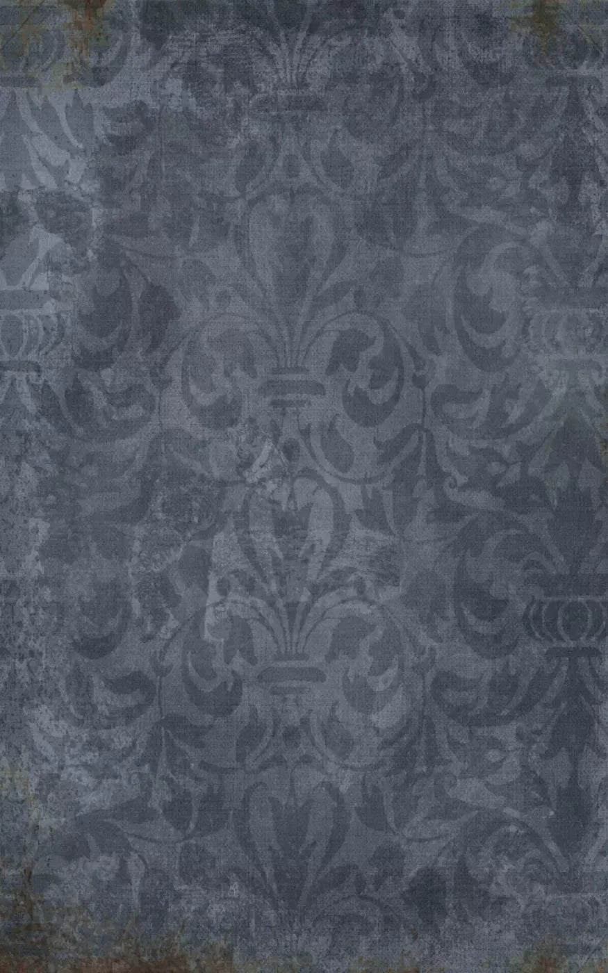 Stamped Denim 9X14 Ultracloth ( 108 X 168 Inch ) Backdrop