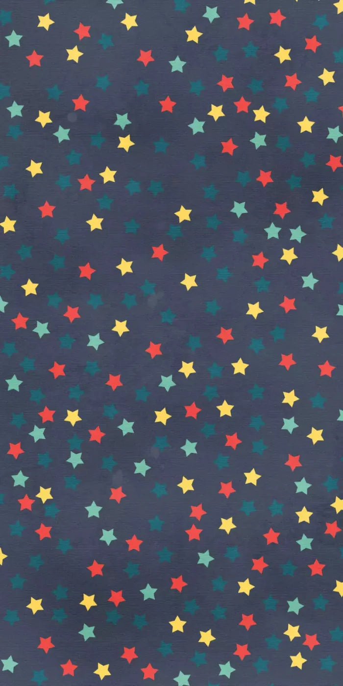 Starry 10X20 Ultracloth ( 120 X 240 Inch ) Backdrop