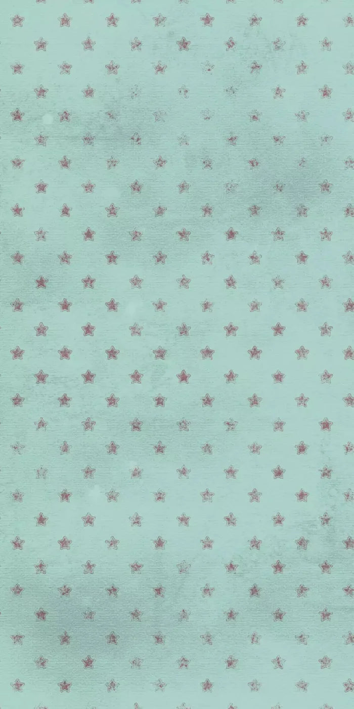 Starstruck 10X20 Ultracloth ( 120 X 240 Inch ) Backdrop