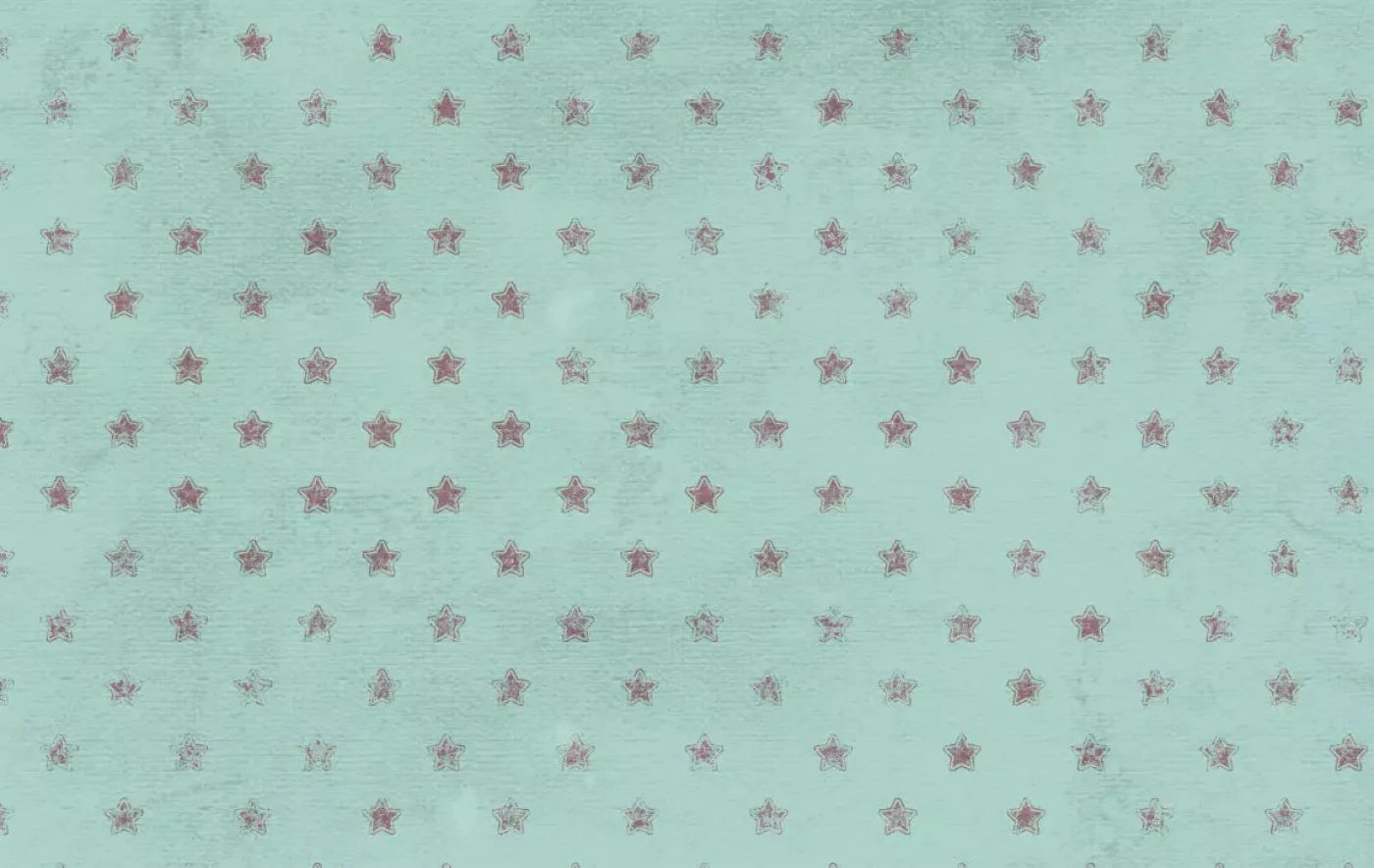 Starstruck 16X10 Ultracloth ( 192 X 120 Inch ) Backdrop