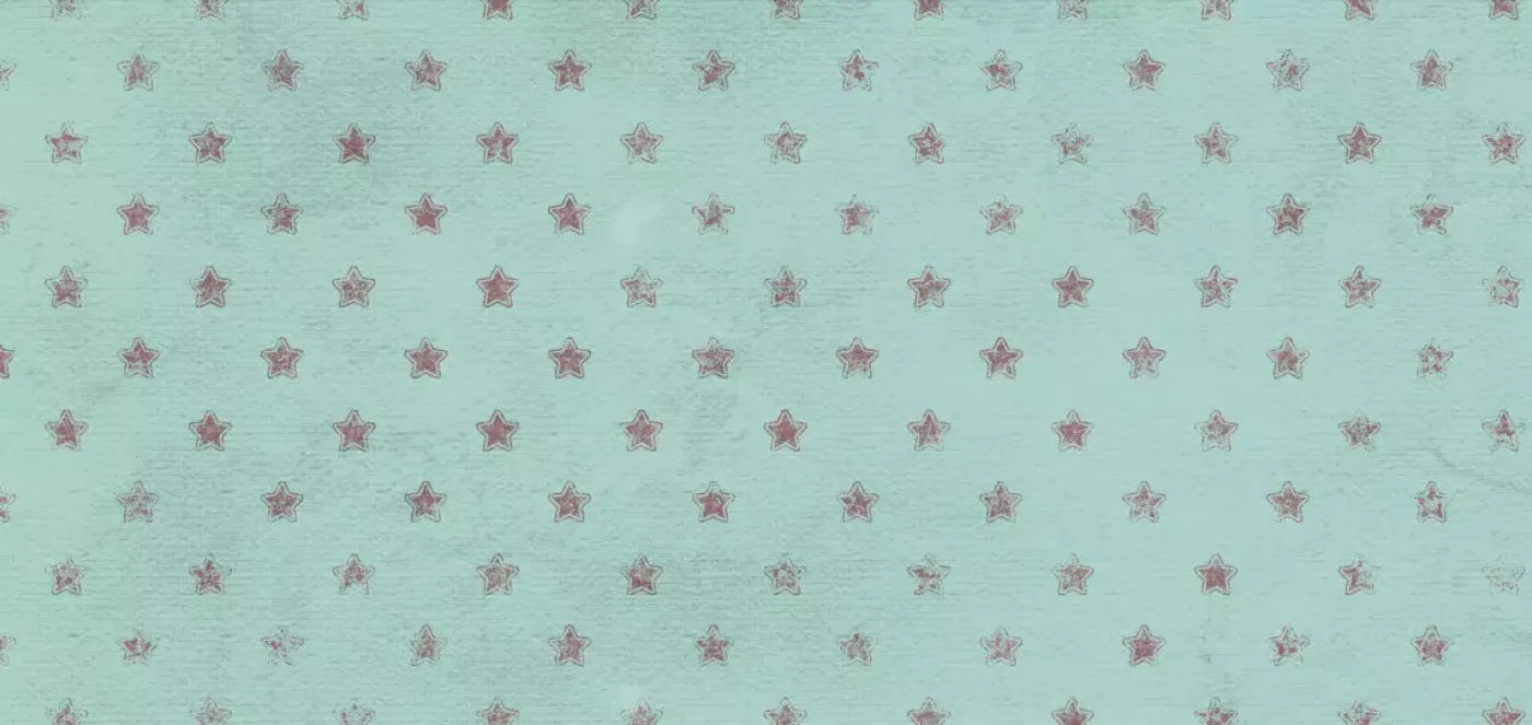 Starstruck 16X8 Ultracloth ( 192 X 96 Inch ) Backdrop