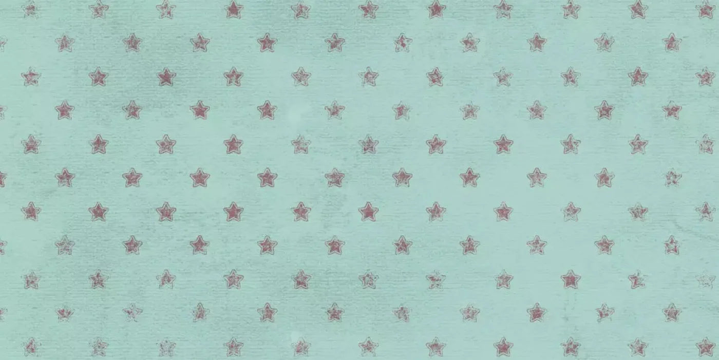 Starstruck 20X10 Ultracloth ( 240 X 120 Inch ) Backdrop