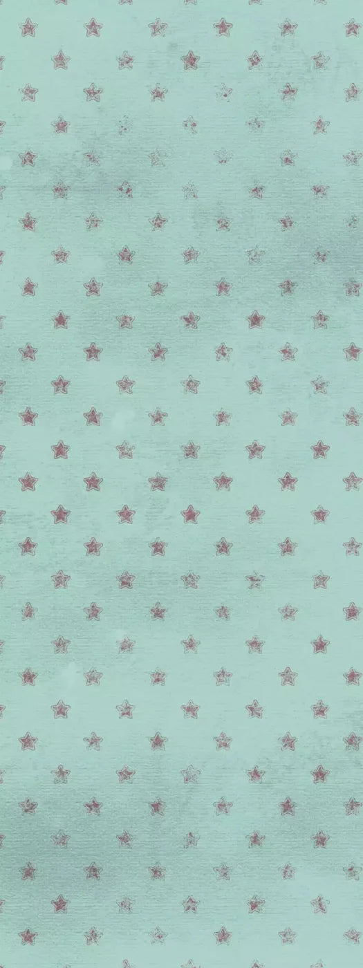 Starstruck 8X20 Ultracloth ( 96 X 240 Inch ) Backdrop