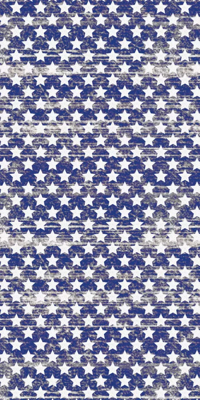 Stellar 10X20 Ultracloth ( 120 X 240 Inch ) Backdrop