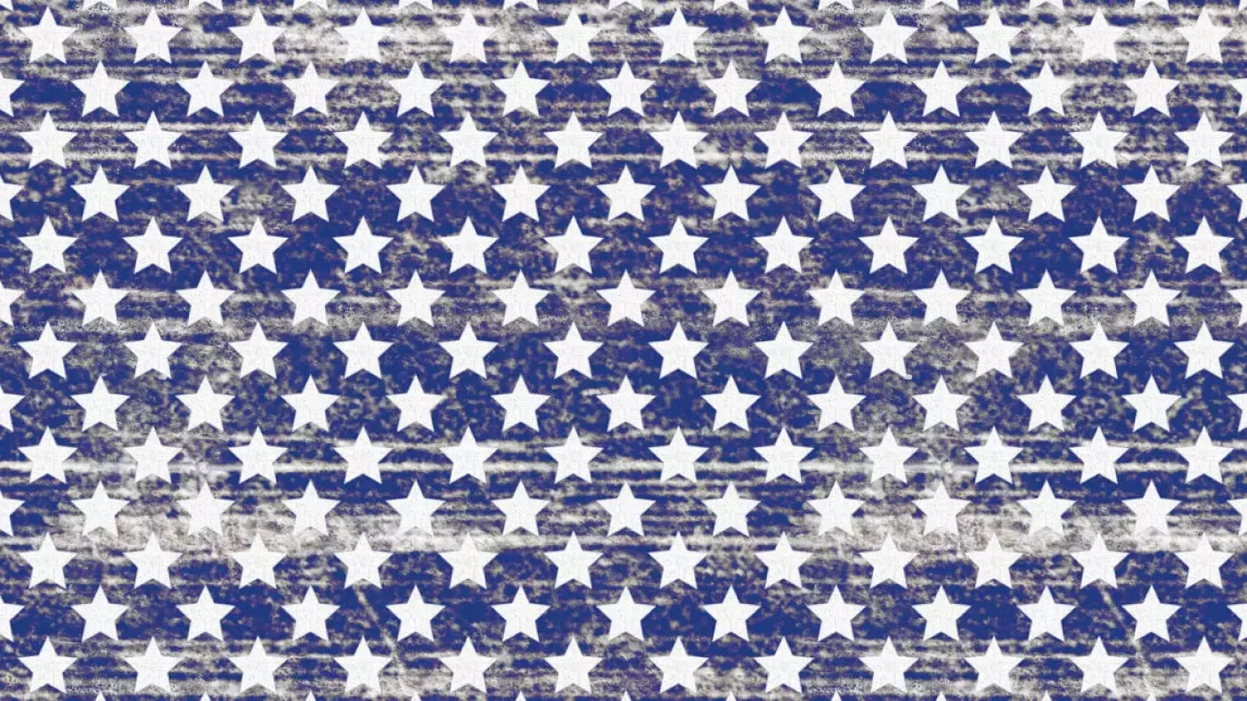 Stellar 14X8 Ultracloth ( 168 X 96 Inch ) Backdrop