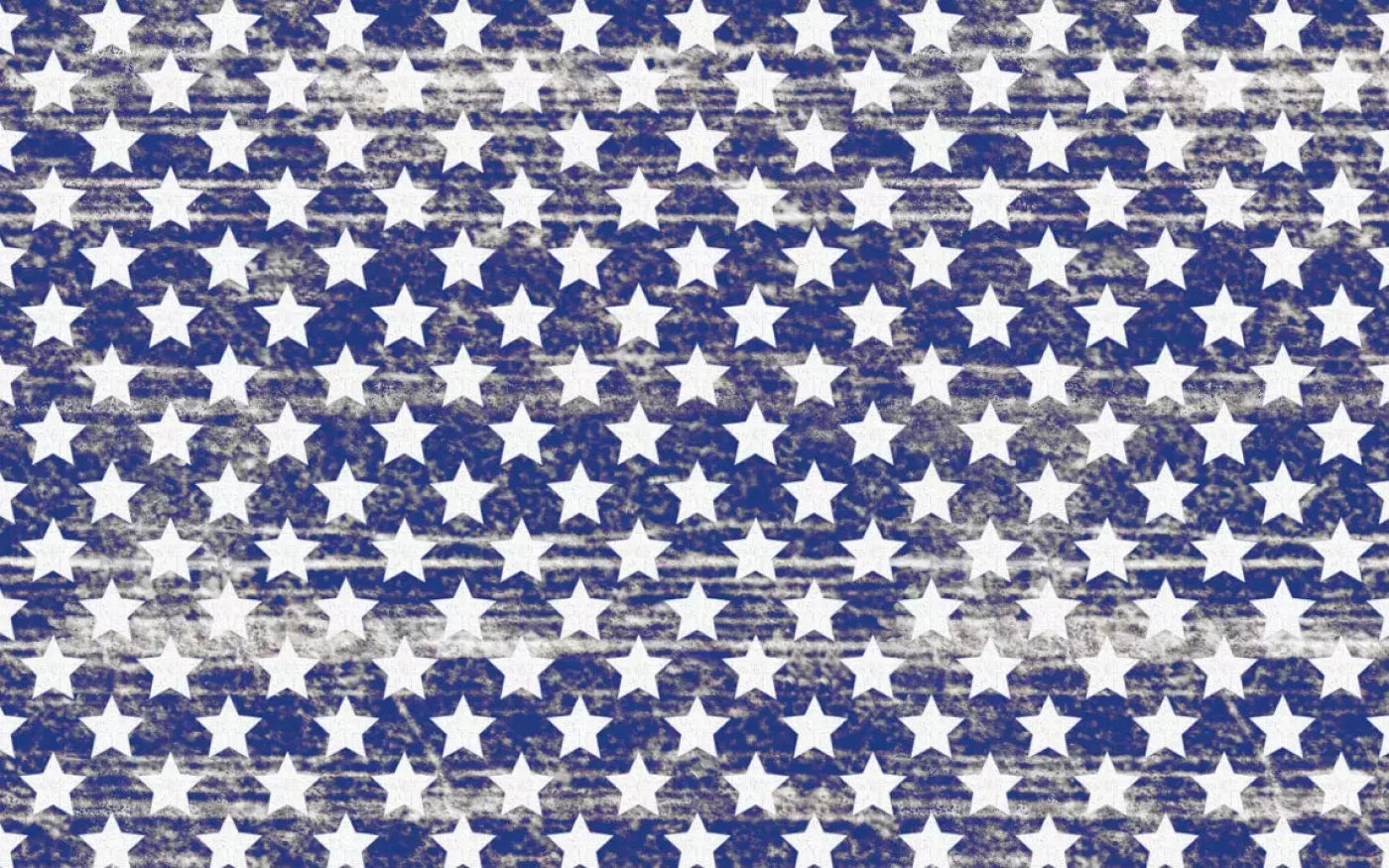 Stellar 14X9 Ultracloth ( 168 X 108 Inch ) Backdrop