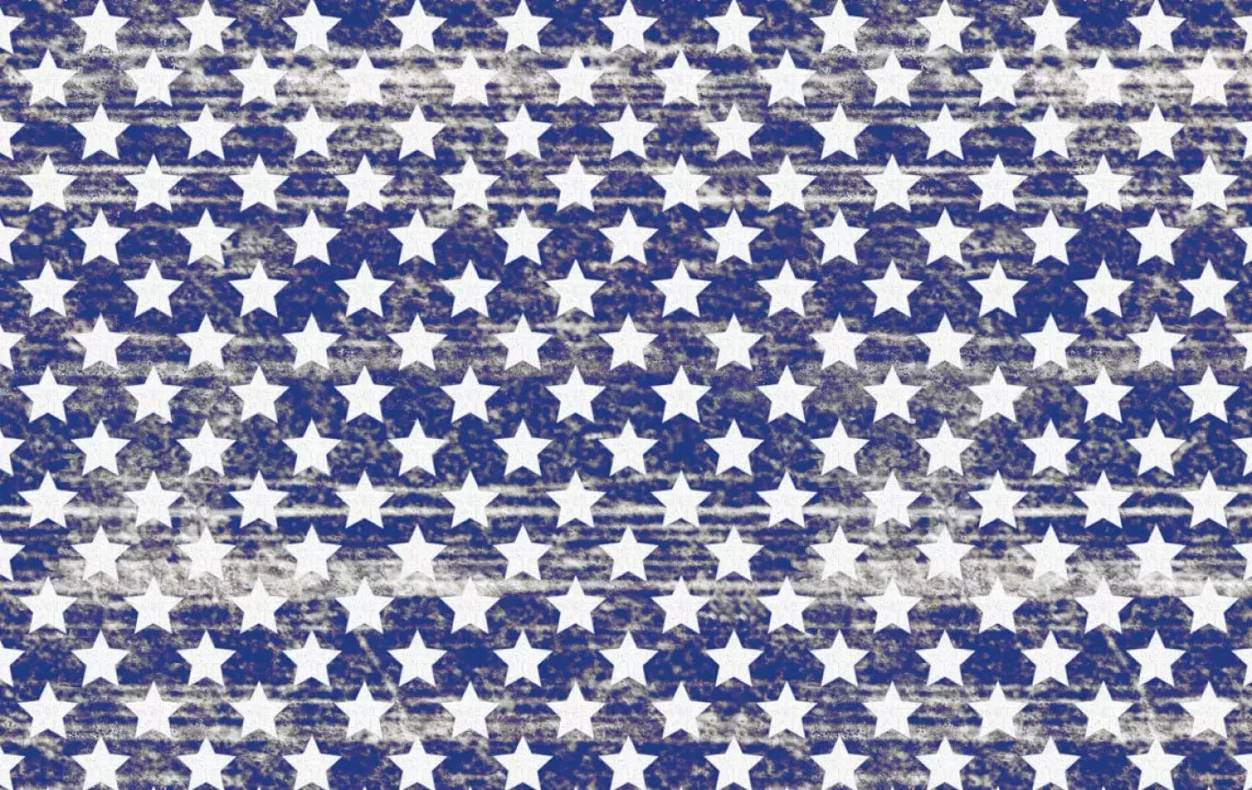 Stellar 16X10 Ultracloth ( 192 X 120 Inch ) Backdrop