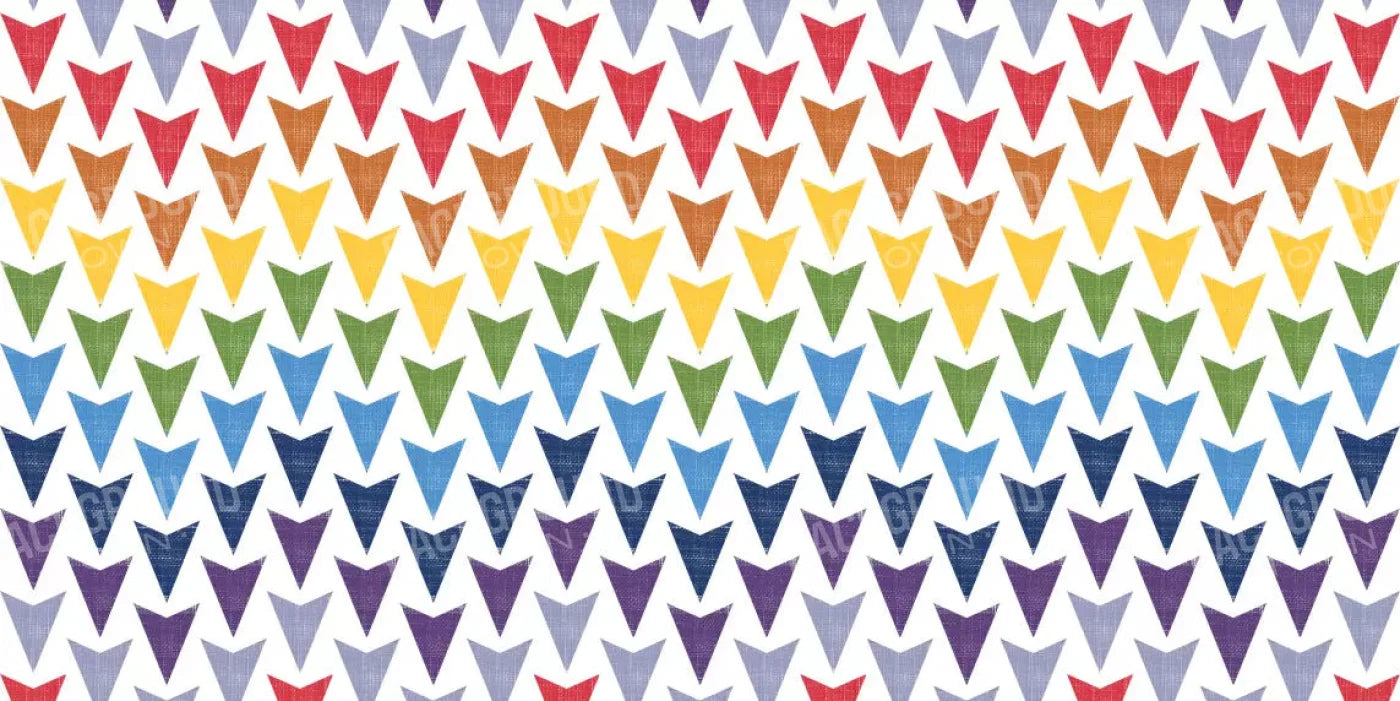 Steve 20X10 Ultracloth ( 240 X 120 Inch ) Backdrop