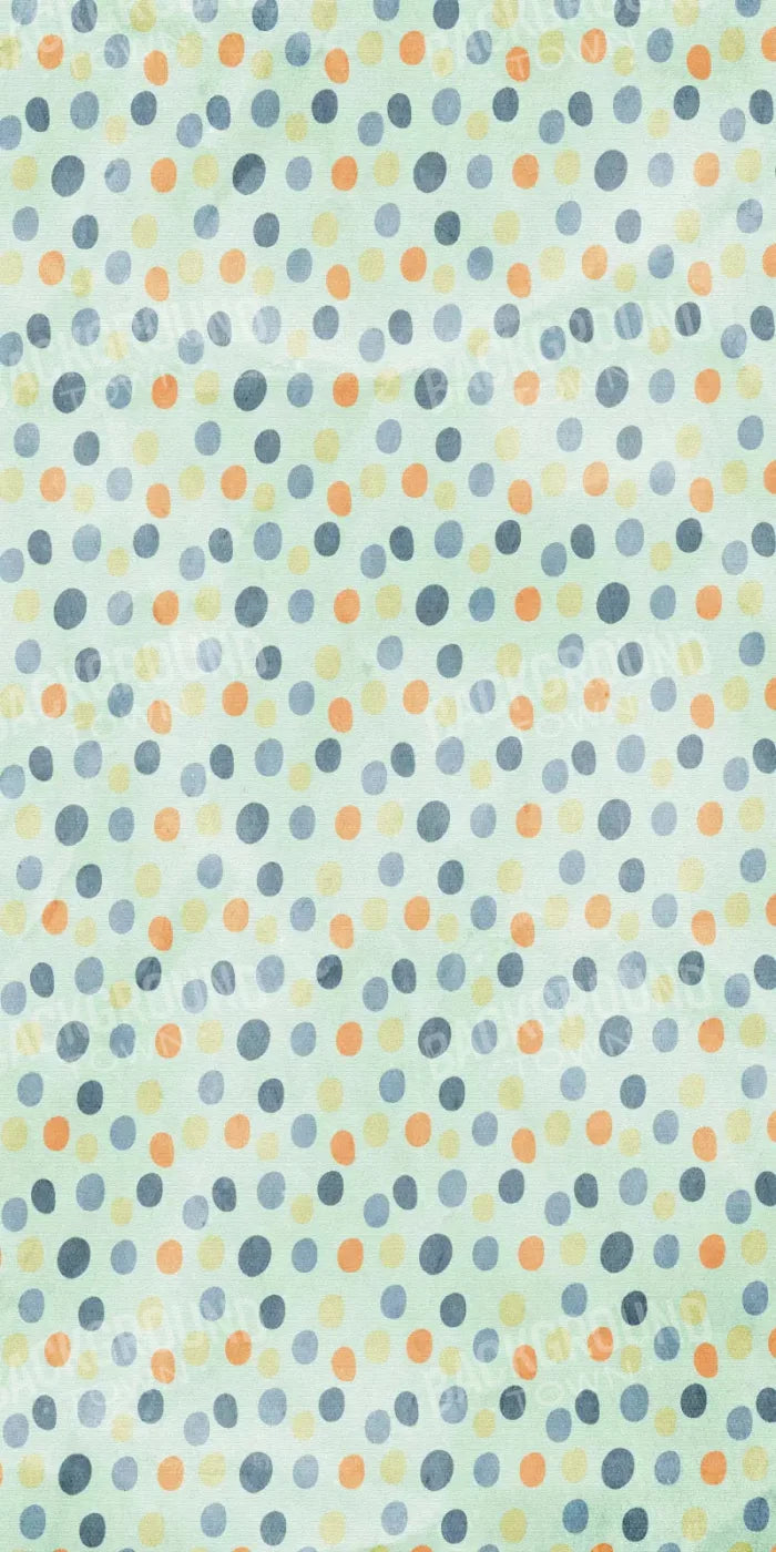 Stevie 10X20 Ultracloth ( 120 X 240 Inch ) Backdrop