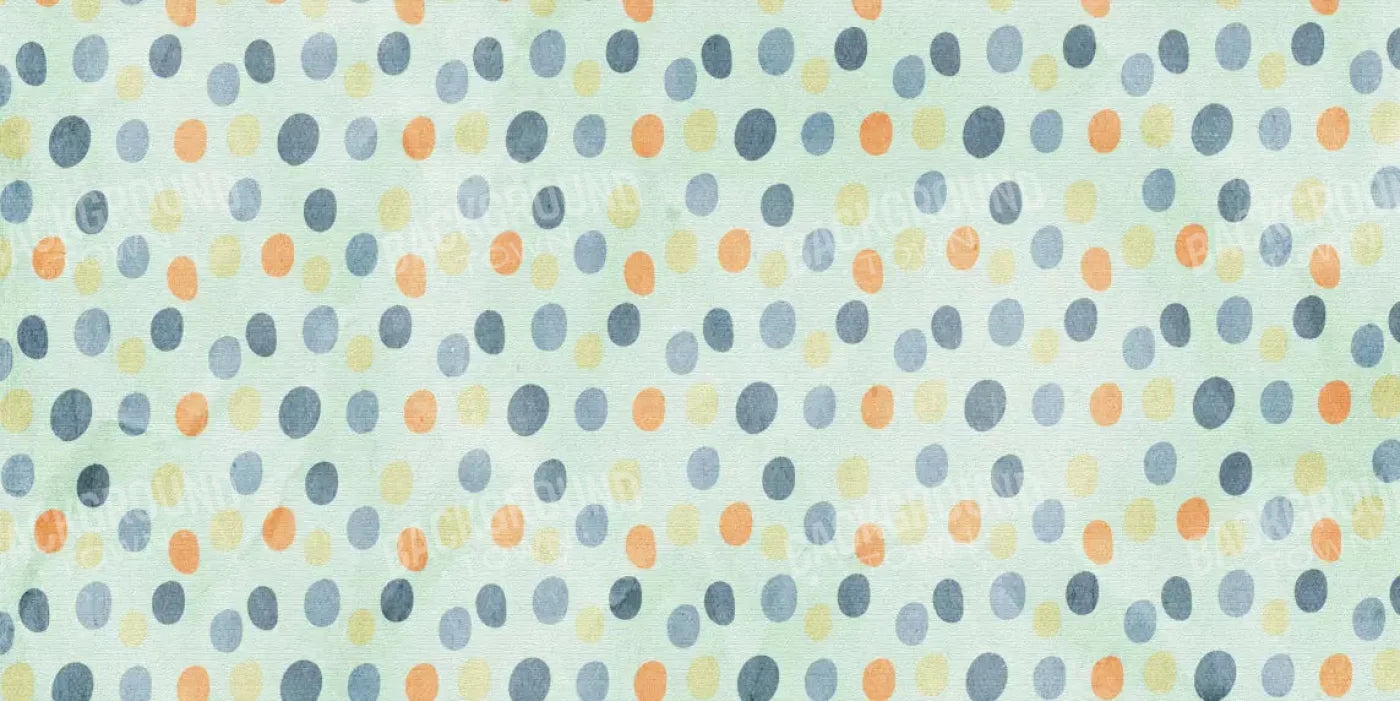 Stevie 20X10 Ultracloth ( 240 X 120 Inch ) Backdrop