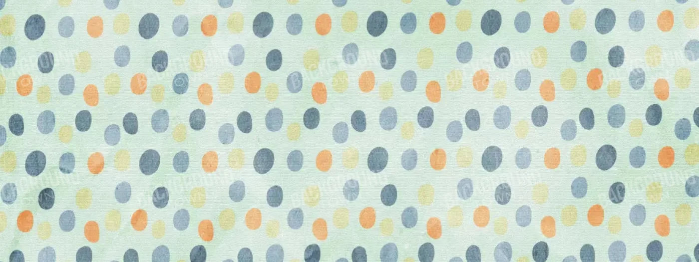 Stevie 20X8 Ultracloth ( 240 X 96 Inch ) Backdrop