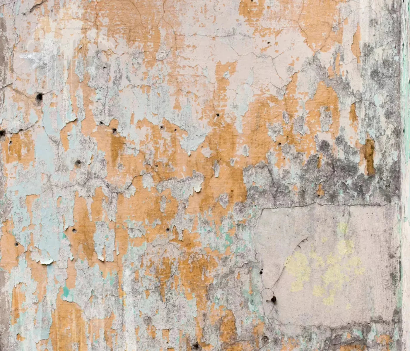 Stockade 12X10 Ultracloth ( 144 X 120 Inch ) Backdrop