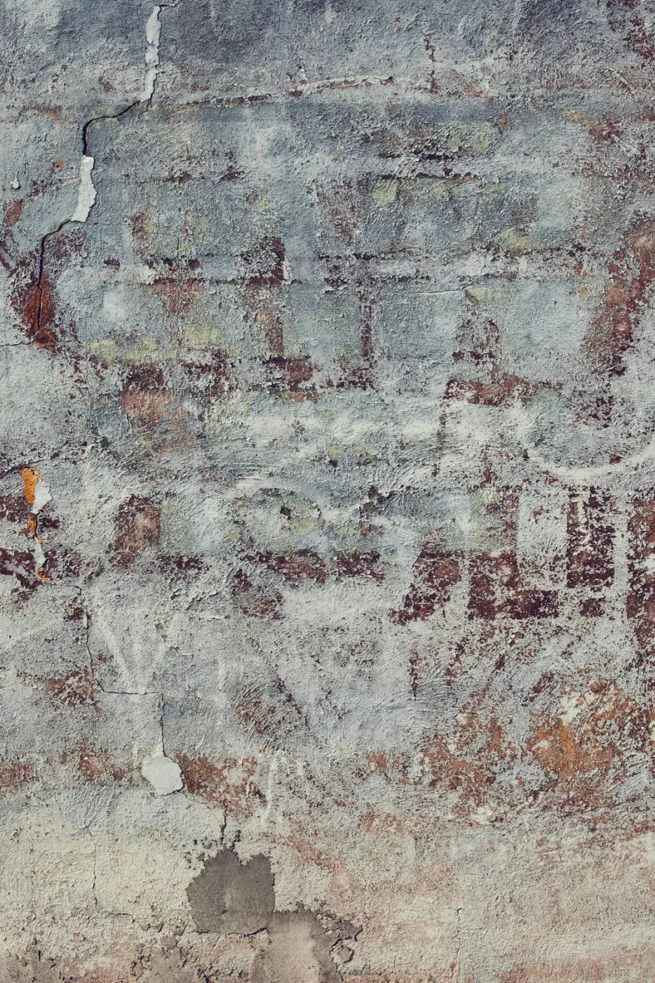 Stone Age Bronx Backdrop