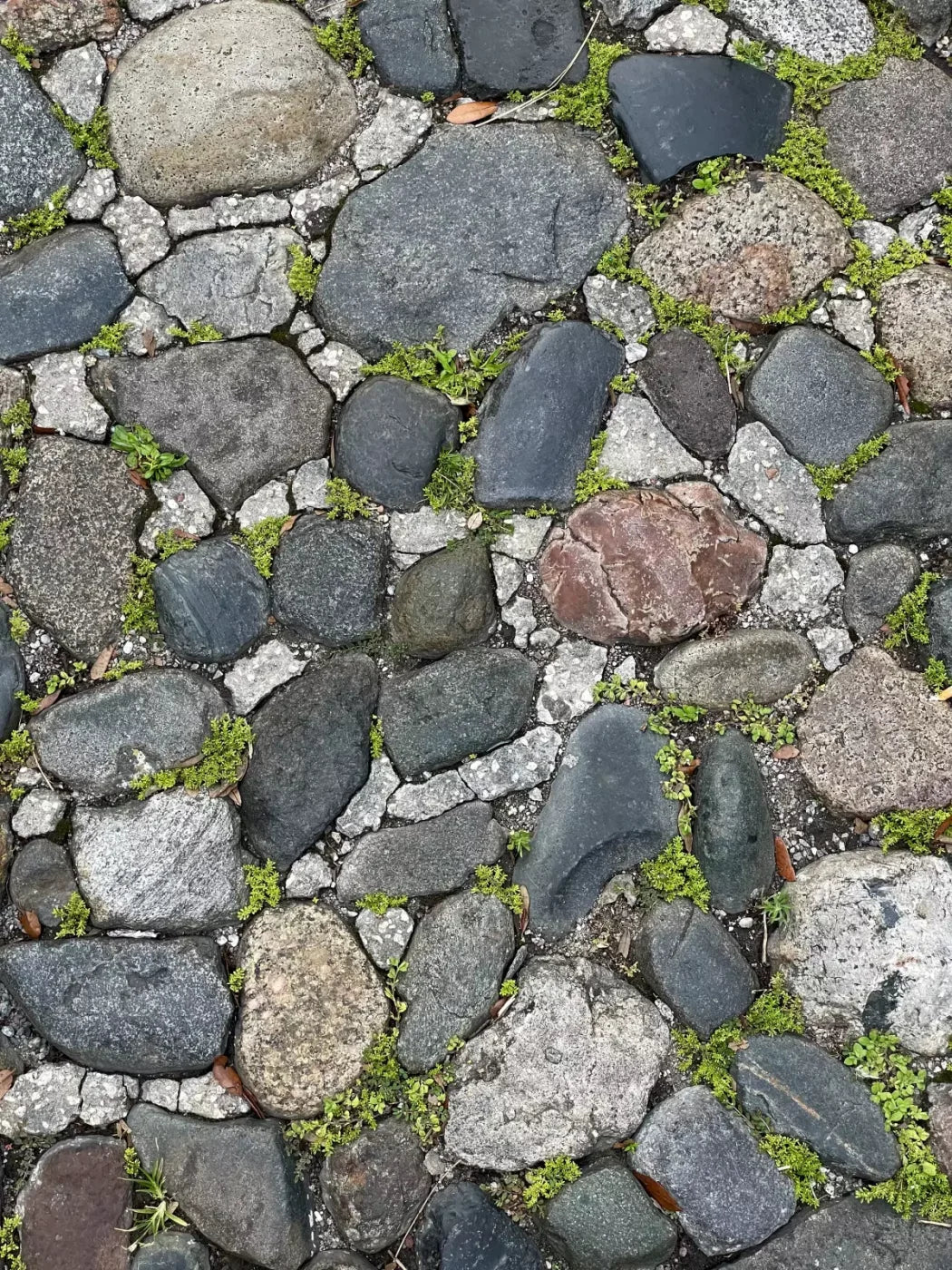 Stone Road Floor 8X10 Fleece ( 96 X 120 Inch ) Backdrop