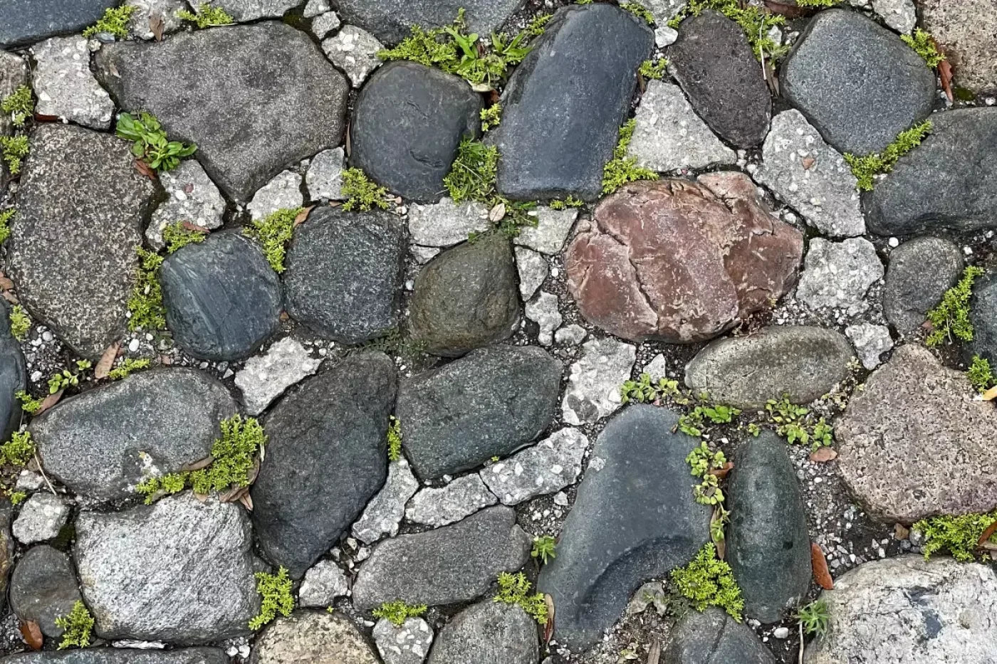Stone Road Floor Backdrop