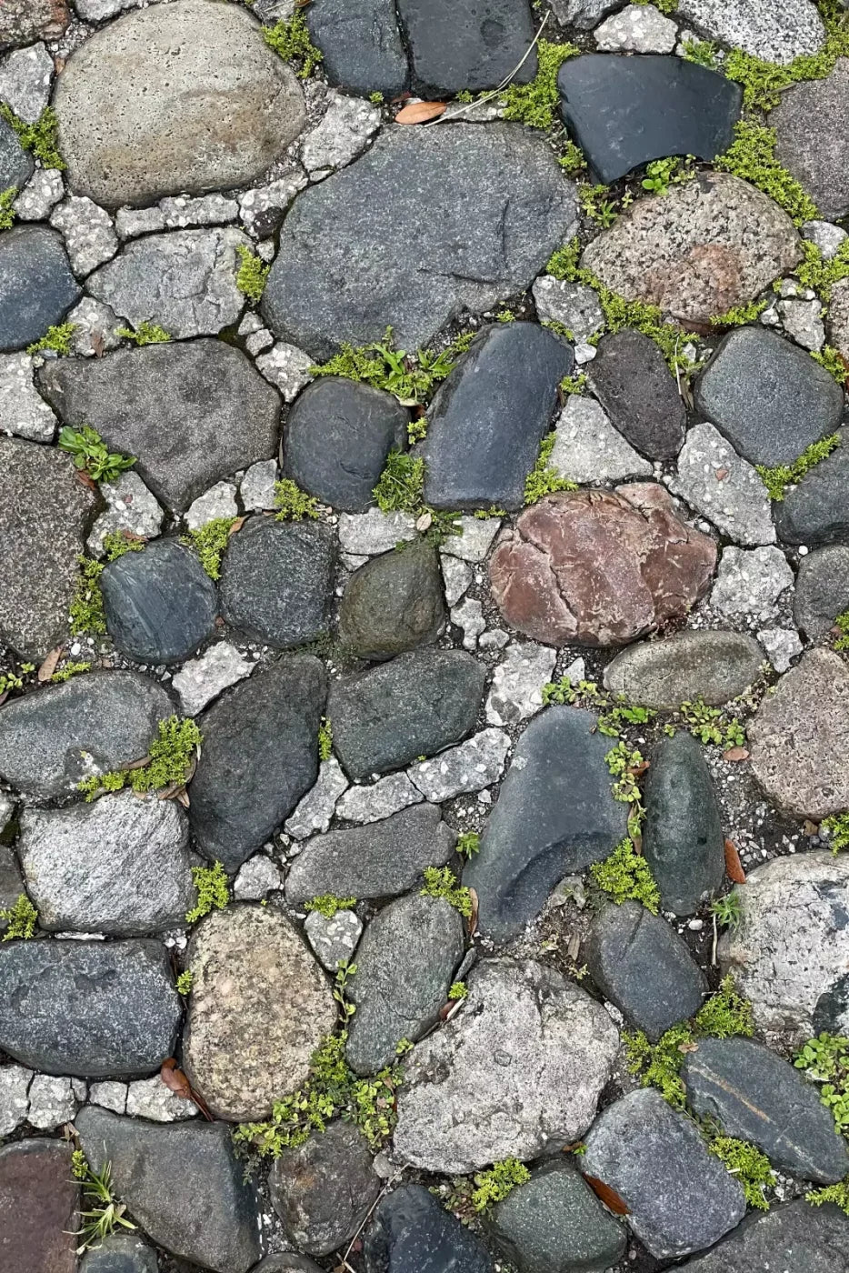 Stone Road Floor Backdrop