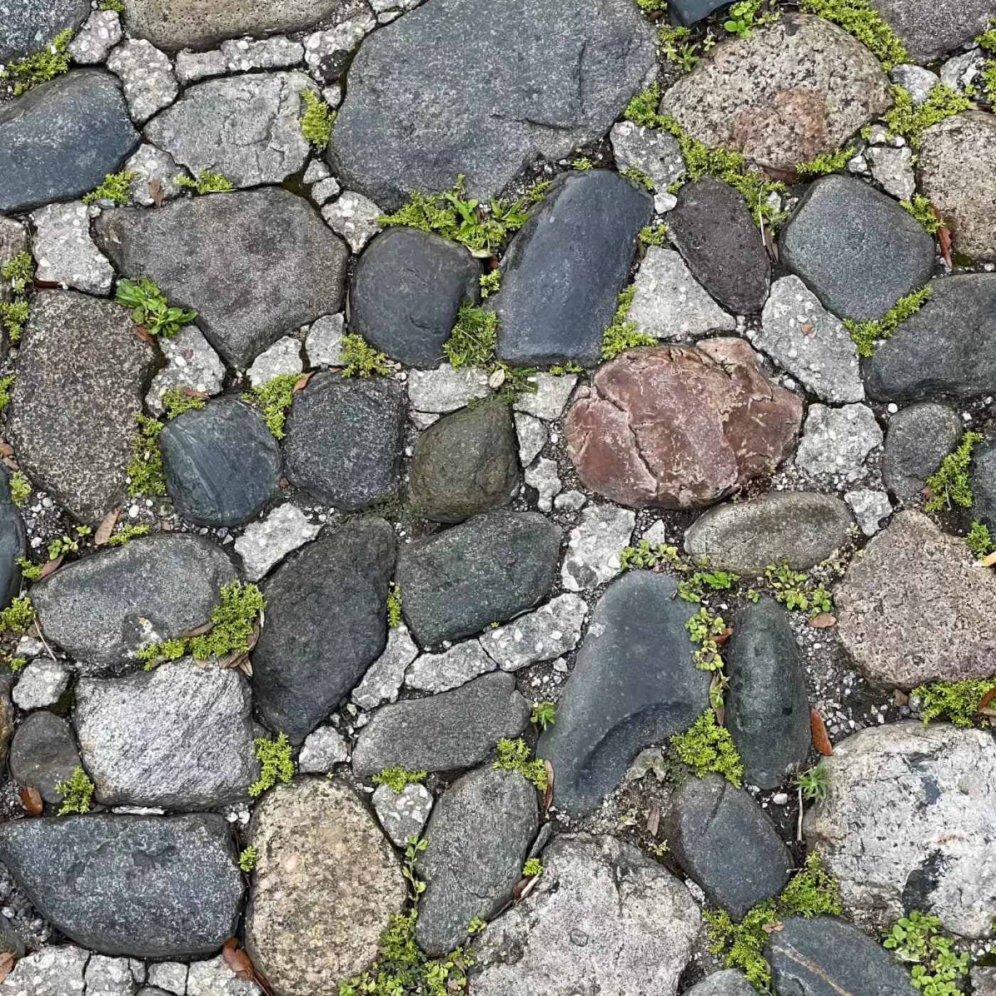 Stone Road Floor Backdrop