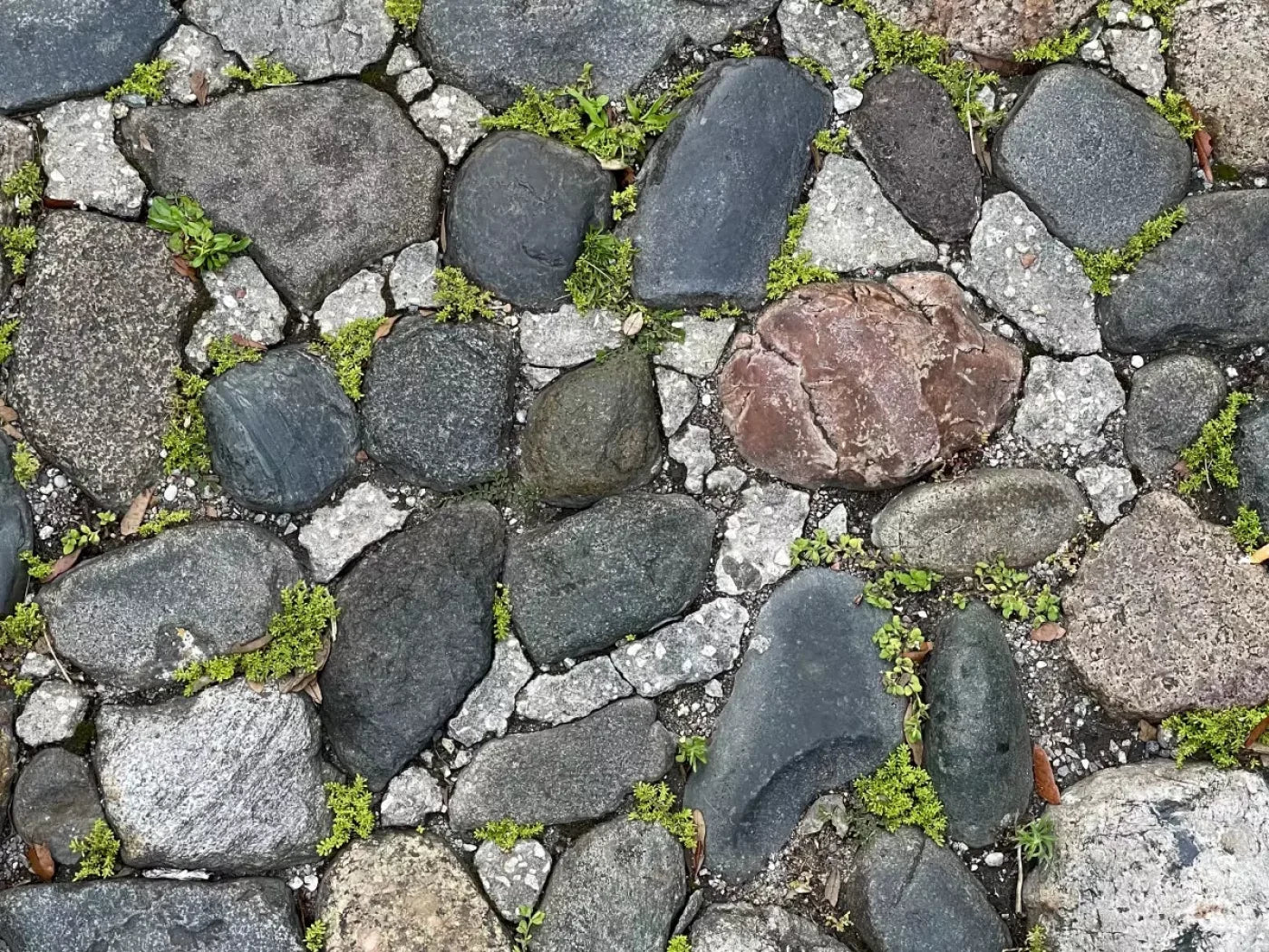 Stone Road Floor Backdrop
