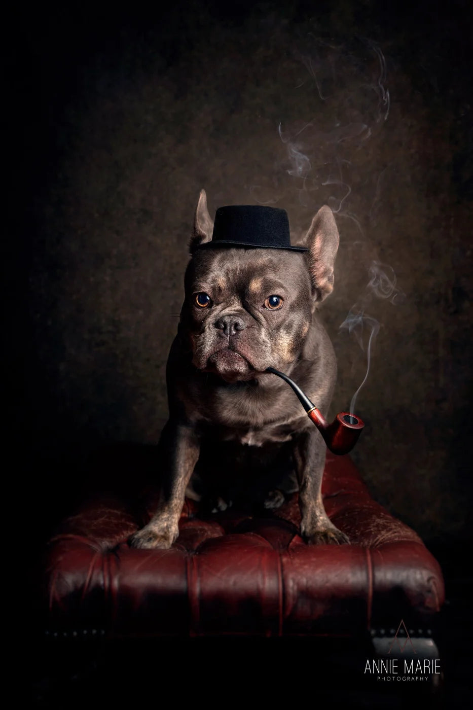 Stone Texture Backdrop