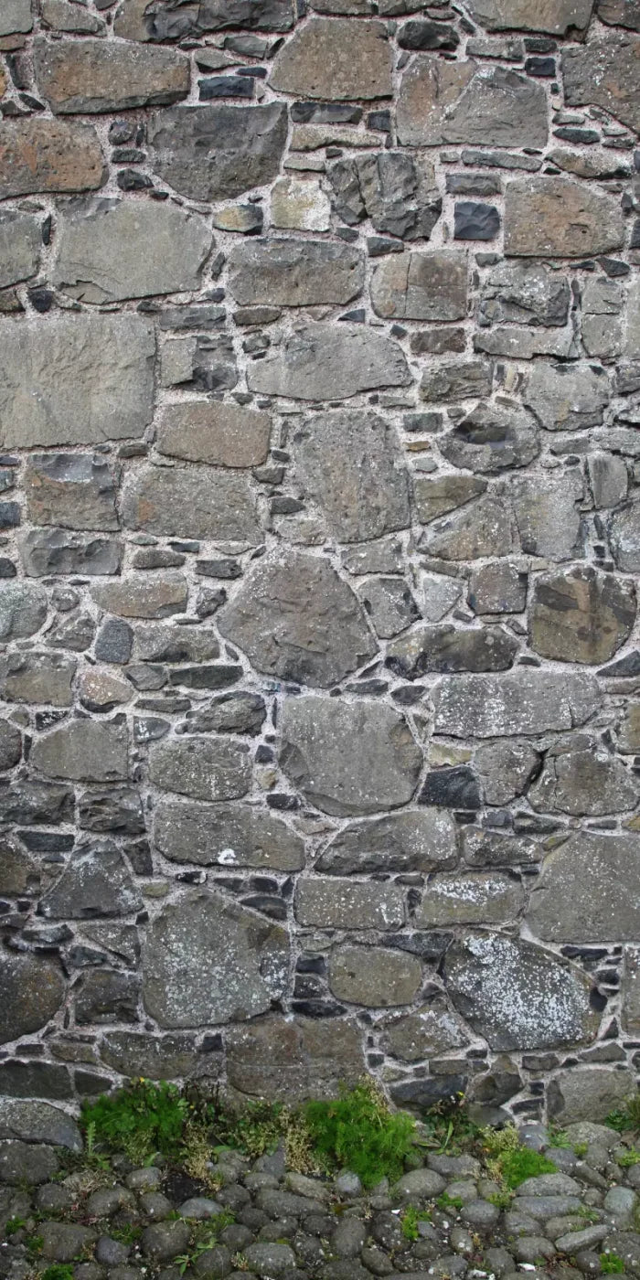 Stone Wall 10X20 Ultracloth ( 120 X 240 Inch ) Backdrop